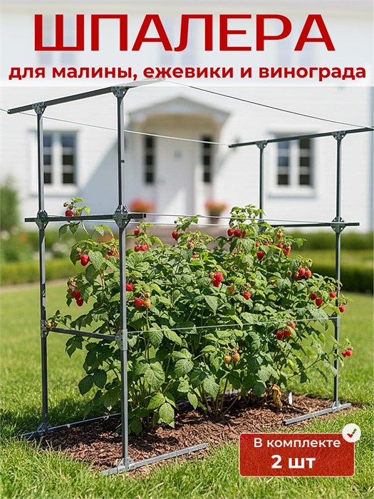 Шпалера садовая для для малины, ежевики, винограда, опора для растений ШП5
