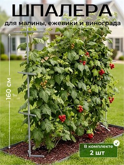 {{productViewItem.photos[photoViewList.activeNavIndex].Alt || productViewItem.photos[photoViewList.activeNavIndex].Description || 'Шпалера садовая для для малины, ежевики, винограда, опора для растений'}}