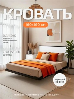 {{productViewItem.photos[photoViewList.activeNavIndex].Alt || productViewItem.photos[photoViewList.activeNavIndex].Description || 'Кровать парящая металлическая 160х190 см, двуспальная, Белая'}}