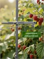 Шпалера садовая для для малины, ежевики, винограда, опора для растений ШП2